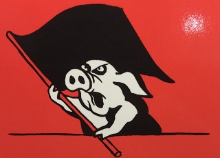 5C181863-527D-456D-AEDB-176E17F4D68F