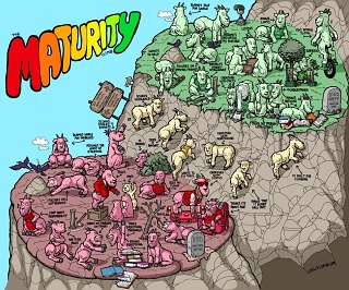 785B418D-9F0A-4D54-9757-652065C7CFA4 1 105 C