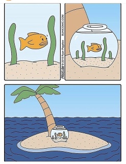 919FF60C-C7C9-44B1-96CC-FCC50EE8D0D4