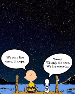 A1FA1358-1179-40B0-A289-67B6A6C1D63A 1 105 C