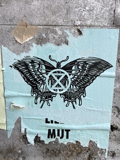 B8212D99-A0C2-4B5A-ADD9-185E78F5600C 1 105 C